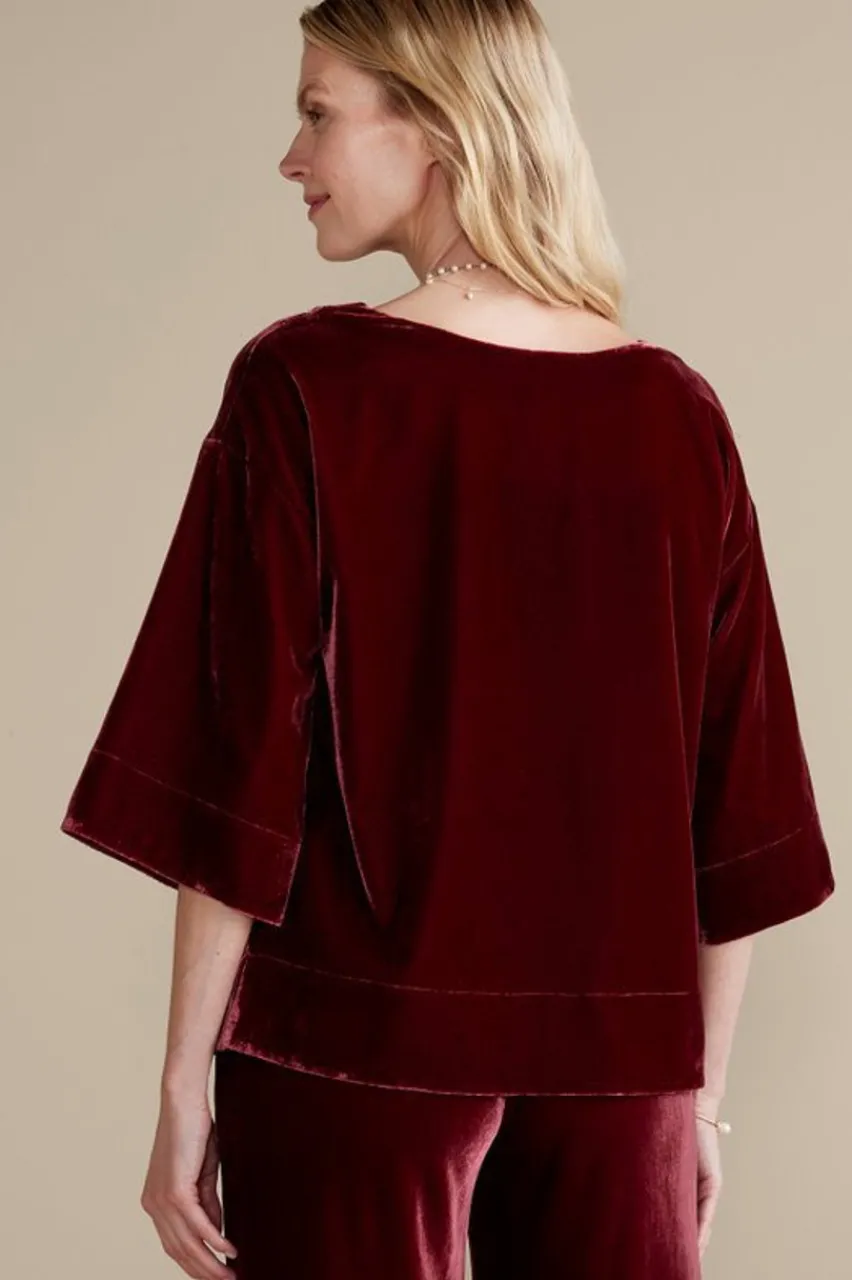 Soft Surroundings Aria Velvet Top- Tops