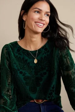 Soft Surroundings Vanetta Velvet Top- Tops